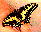 [butterfly]