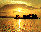 [island]