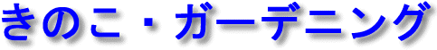 [̘̂b]