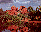 [redrocks]